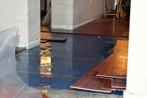 Professional Burst Pipe Cleanup technician working in Hasbrouck Heights, NJ